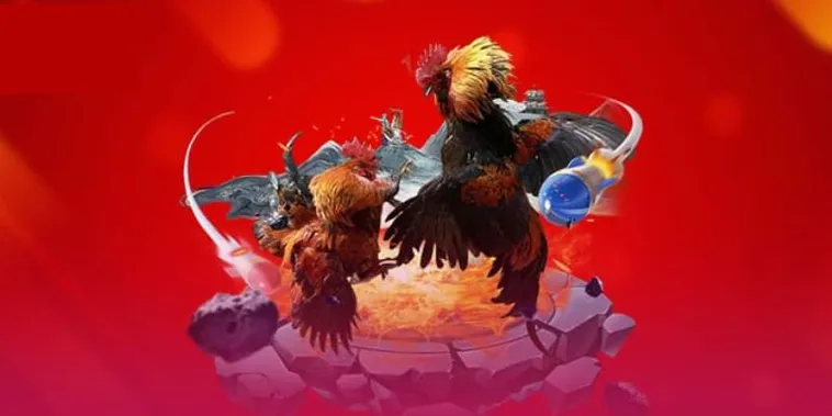 Đá Gà 123B Đỉnh Cao Cùng Kê Thủ Chuyên Nghiệp 1 Đá Gà 123B Đỉnh Cao Cùng Kê Thủ Chuyên Nghiệp