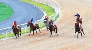 Tìm Hiểu Cá Cược Đua Ngựa 123B Nghệ Thuật Của Các Trường Đua 10 Tìm Hiểu Cá Cược Đua Ngựa 123B Nghệ Thuật Của Các Trường Đua